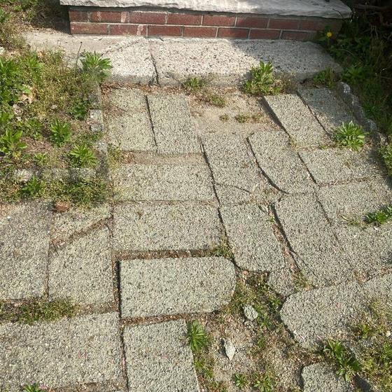 Cracked concrete slab walkway with weeds growing through the joints